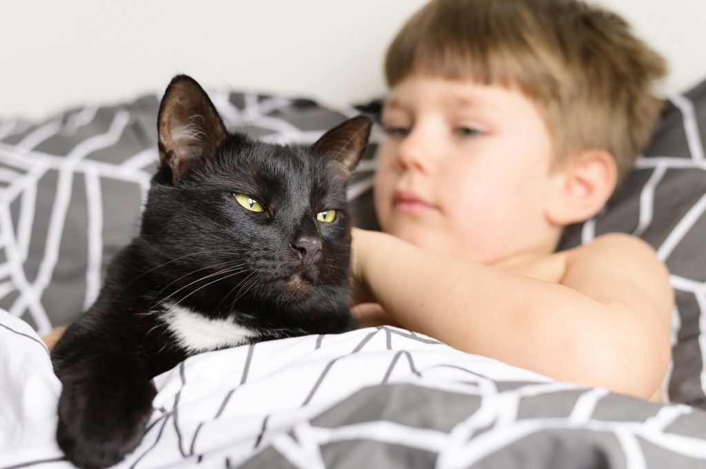 حساسية القطط للاطفال